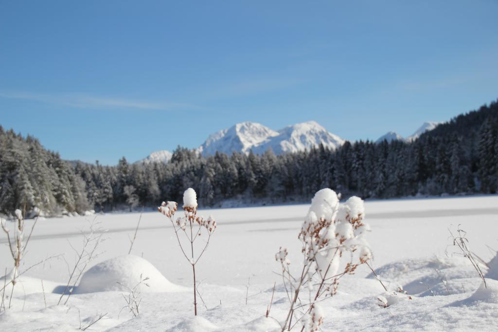 Ferienwohnungen Weiherbach - Hallenbad Berchtesgaden Eksteriør bilde