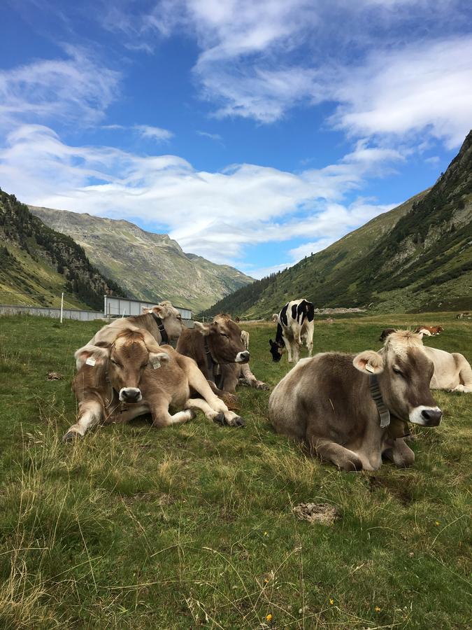 Ferienwohnungen Weiherbach - Hallenbad Berchtesgaden Eksteriør bilde